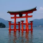 Floating Torii