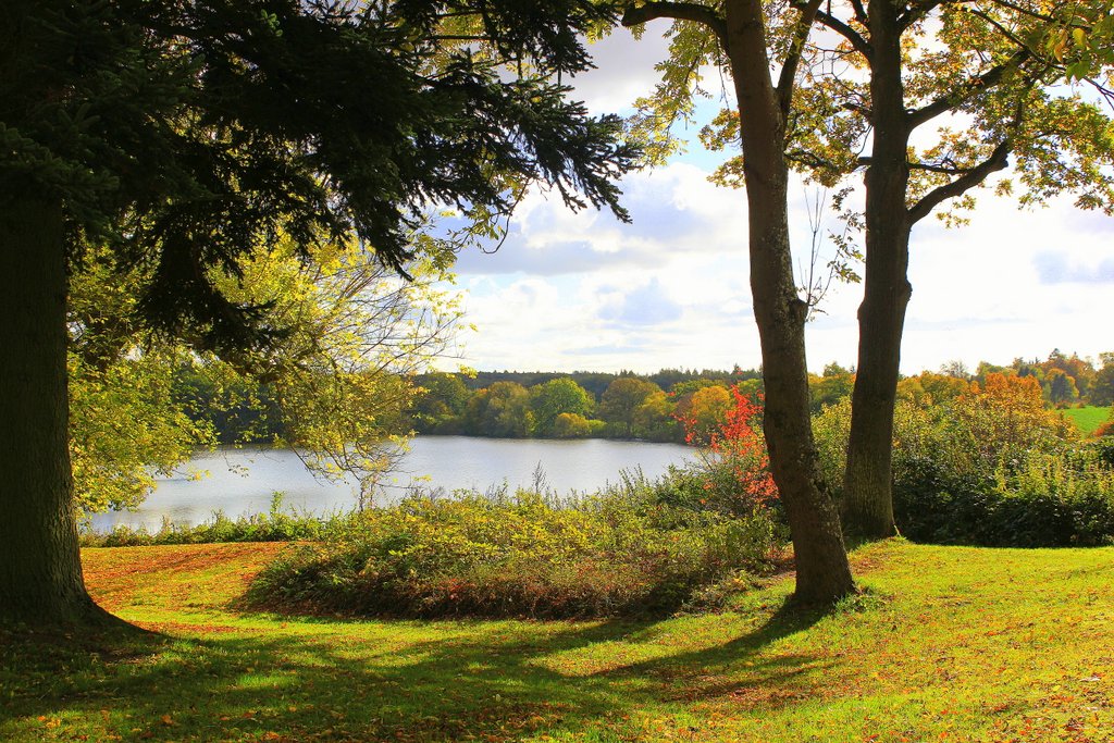 Flörkendorfer Mühlenteich im Herbst