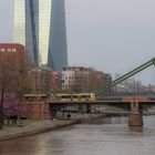 Flößerbrücke Frankfurt im Frühling