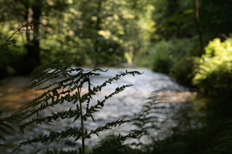 Flößersteig