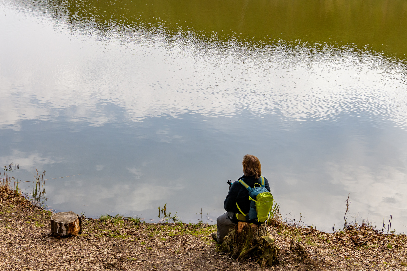 Floh genießt den Schwanensee