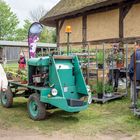 Flohmarkt im Freilichtmuseum Klockenhagen