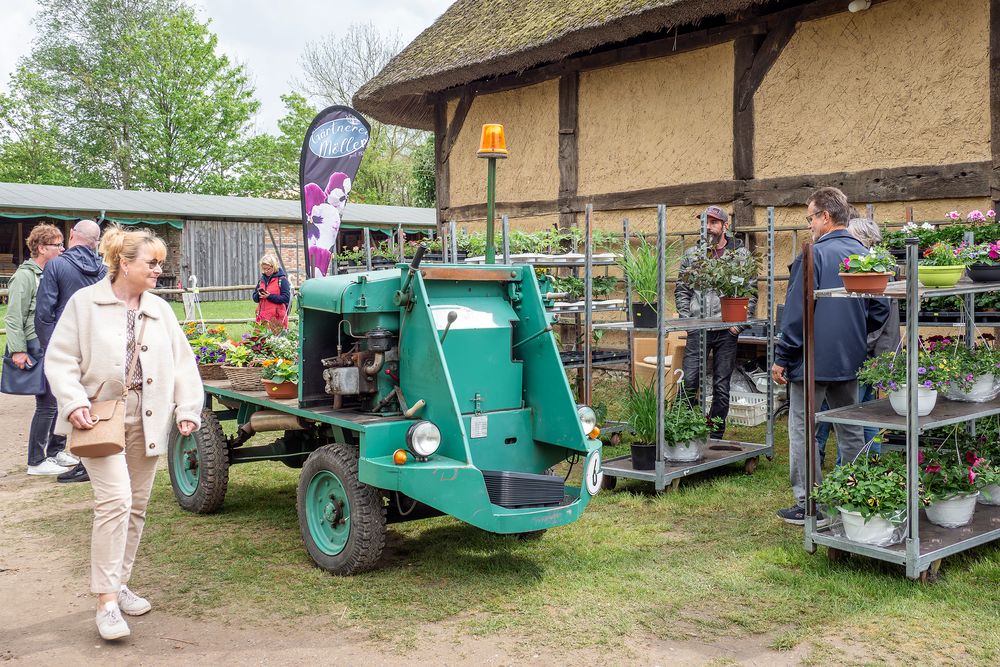 Flohmarkt im Freilichtmuseum Klockenhagen