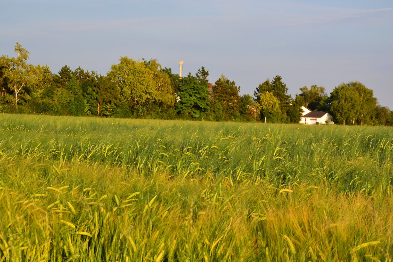 Flomersheim (Pfalz)