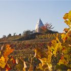 Flonheim im Herbst