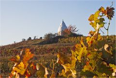 Flonheim im Herbst