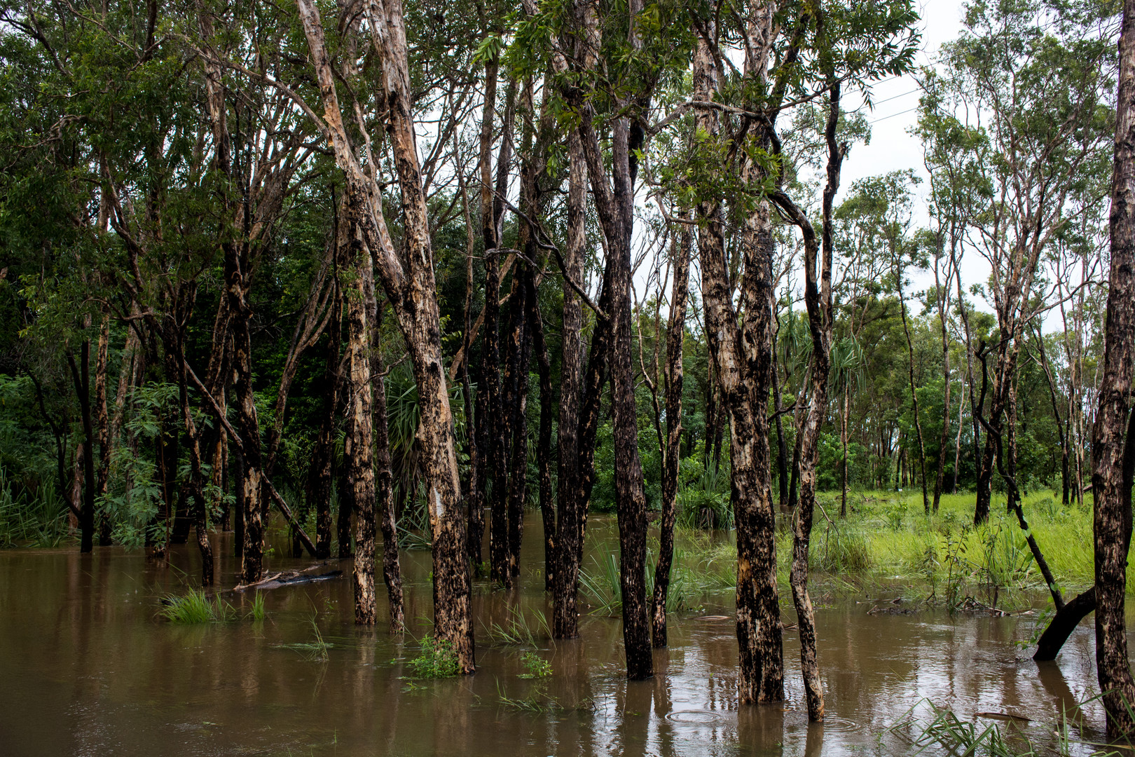 Flood (Batchelor Road / Coomalie Creek)