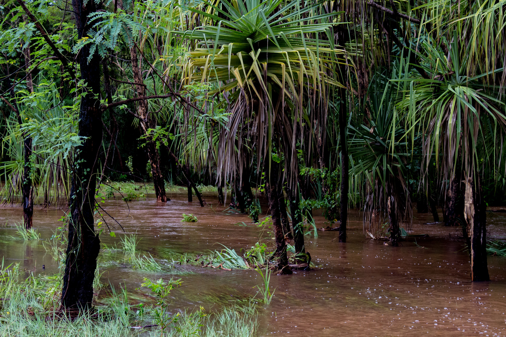 Flood (Batchelor Road / Coomalie Creek)