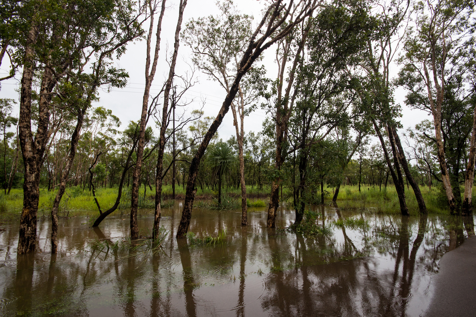 Flood (Batchelor Road / Coomalie Creek), Northern Territory, Australia, Feb. 2017