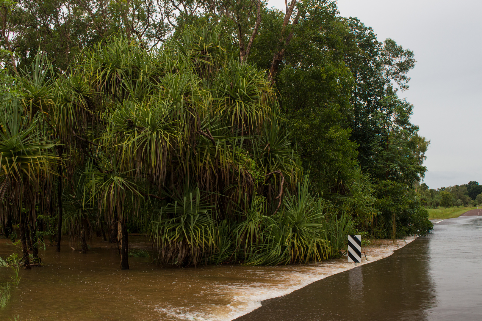 Flood (Batchelor Road / Coomalie Creek), Northern Territory, Australia, Feb. 2017