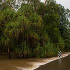 Flood (Batchelor Road / Coomalie Creek), Northern Territory, Australia, Feb. 2017