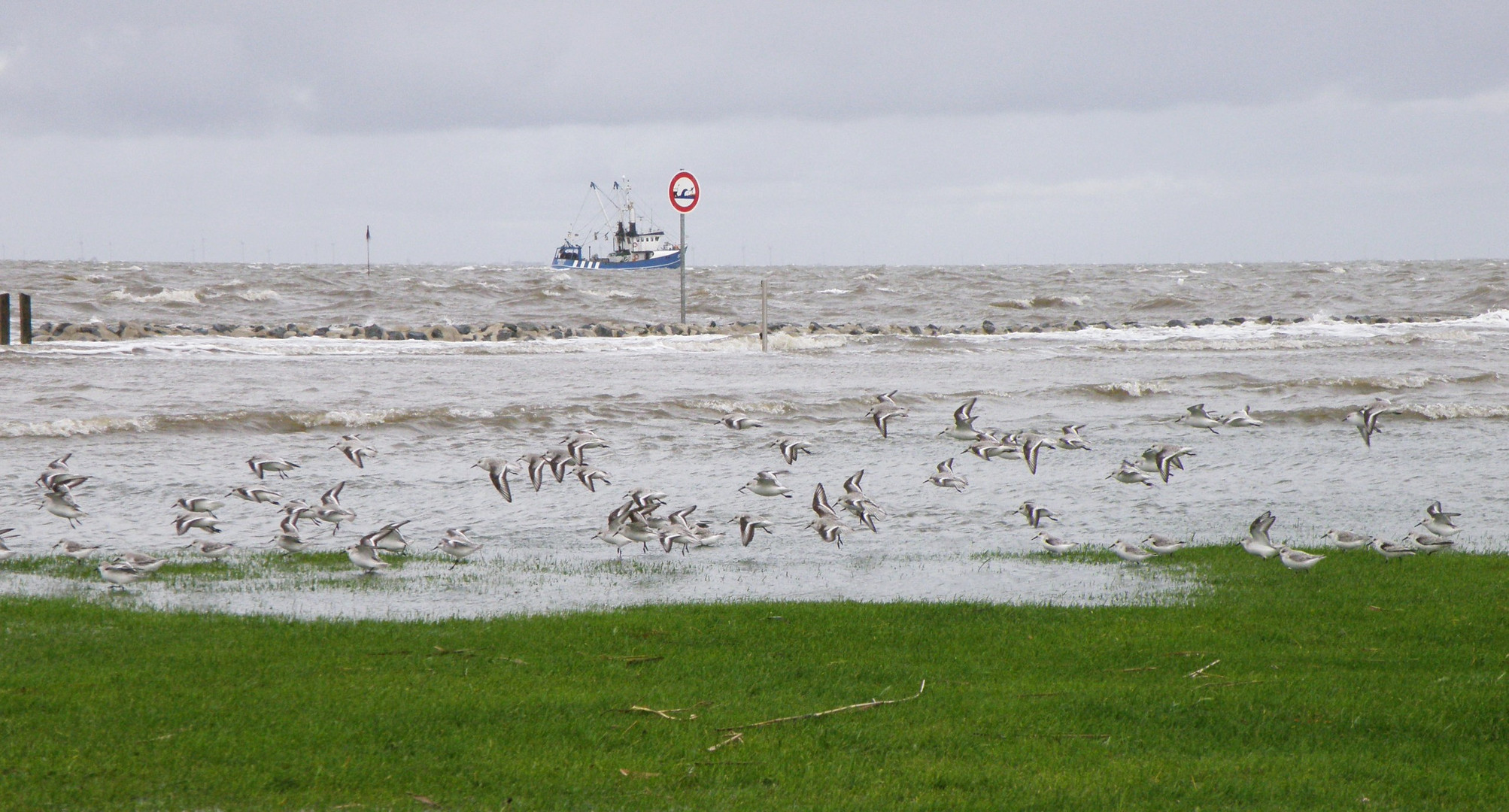 flooded land.