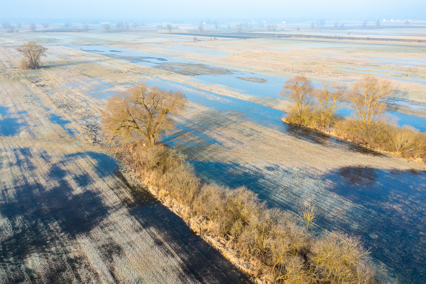 Flooded meadows