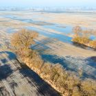 Flooded meadows