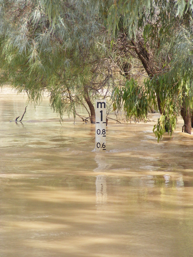 Flooded River