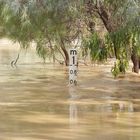 Flooded River