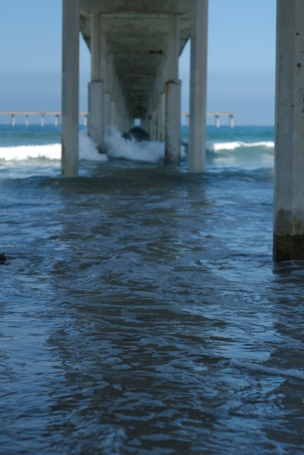 Flooded Shelter