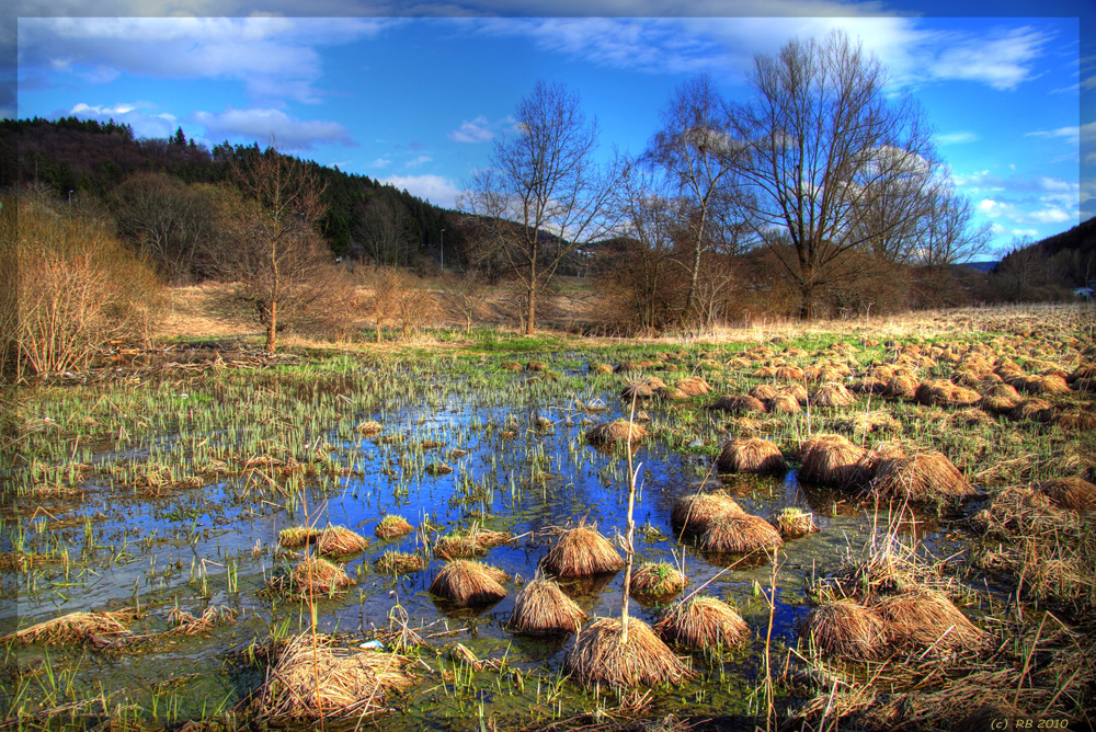 Flooding meadows