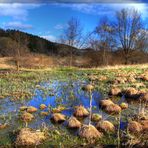 Flooding meadows