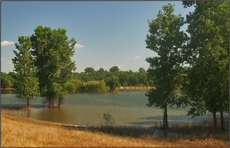 flooding nature