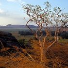 Floodplain im Kakadu Nationalpark