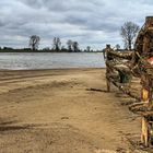 Floodplains along the Maas near Batenburg (Netherlands)