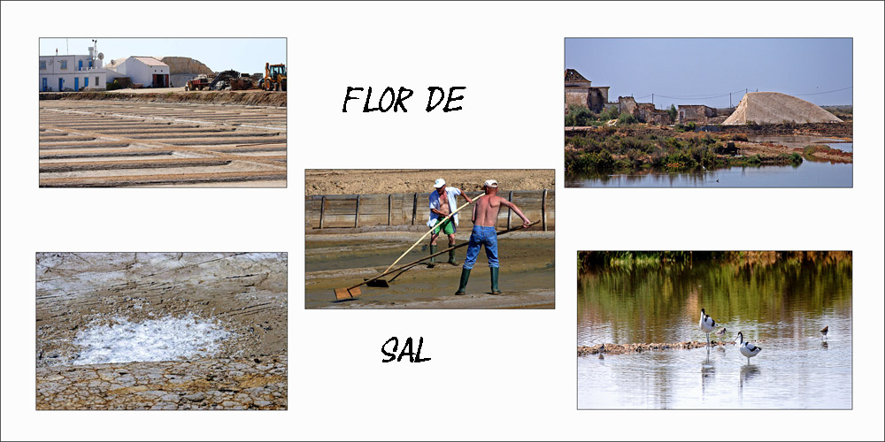 Flor de Sal