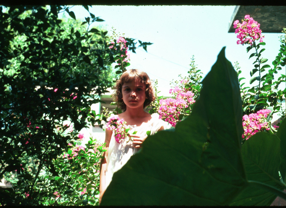 Flor en el jardin.