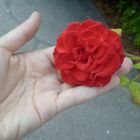 Flor en mano