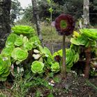 Flor verde