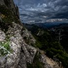 Flora am Tegelberg (Schwangau)