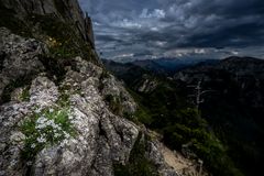Flora am Tegelberg (Schwangau)