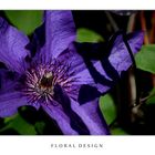 Flora Design III