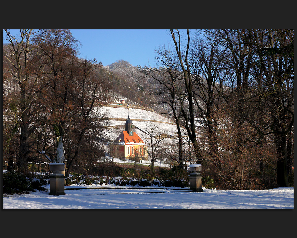 Flora im Schnee