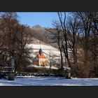 Flora im Schnee