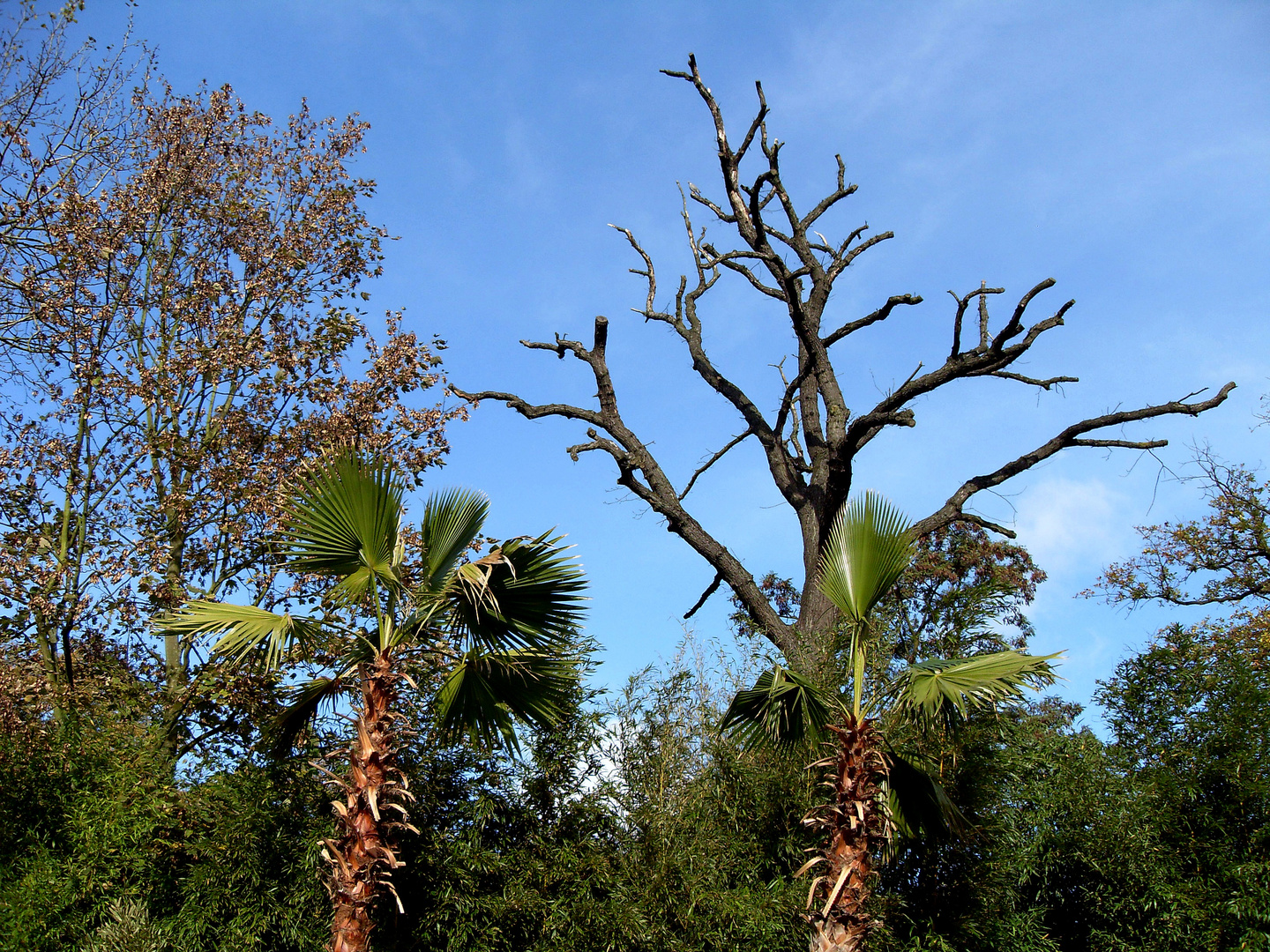 Flora-Mix aus dem Duisburger Zoo