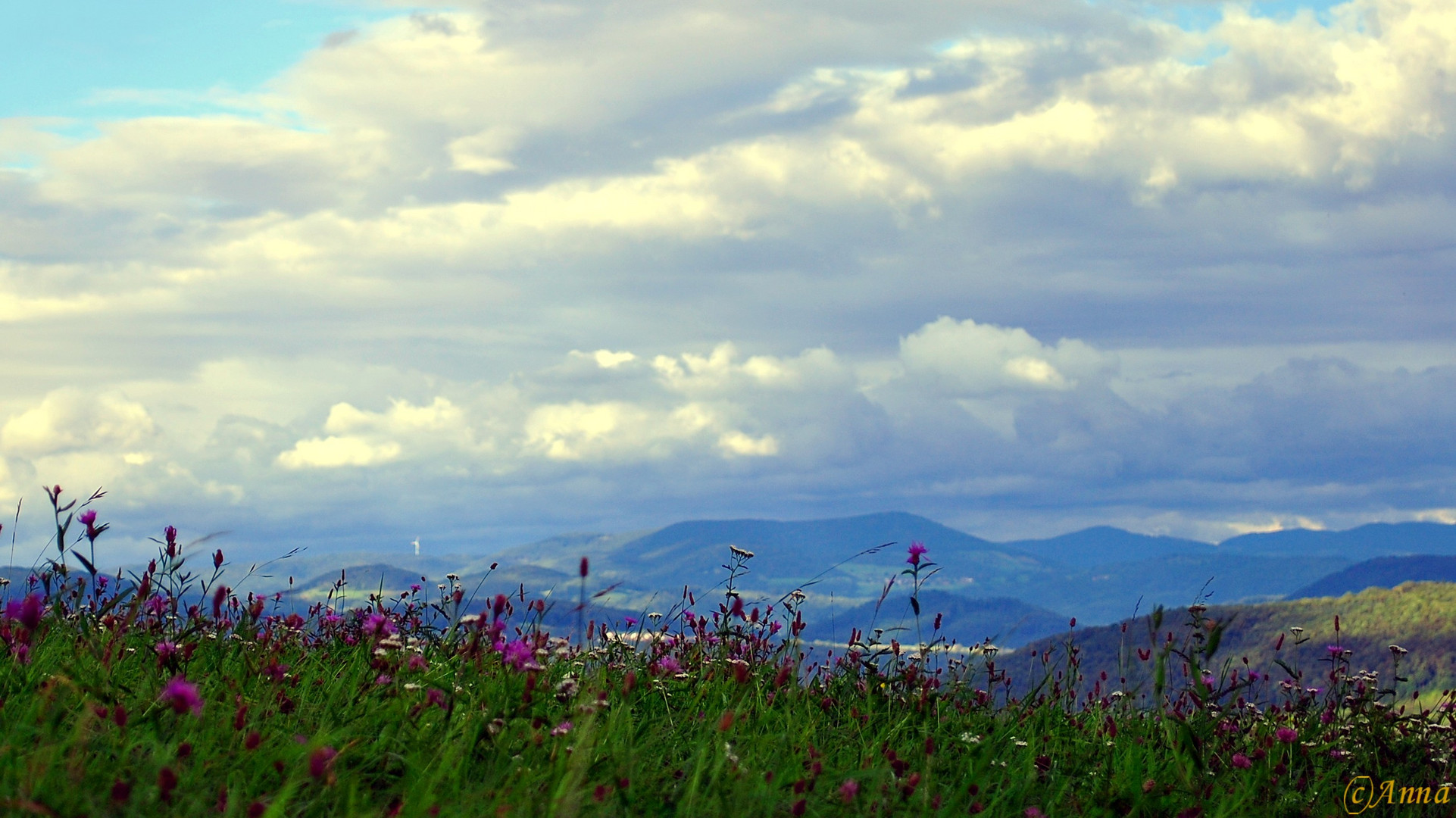 Flora und Aussicht