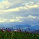 Flora und Aussicht