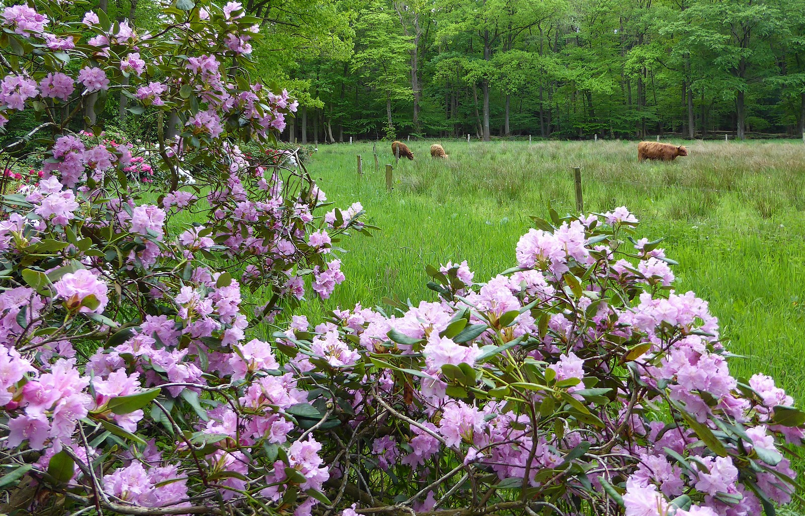 Flora und Fauna