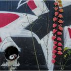 Flora und Graffiti