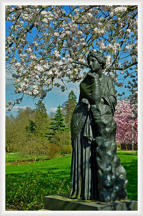 Flora wartet auf die Rosenblüte - im Rosengarten Zweibrücken