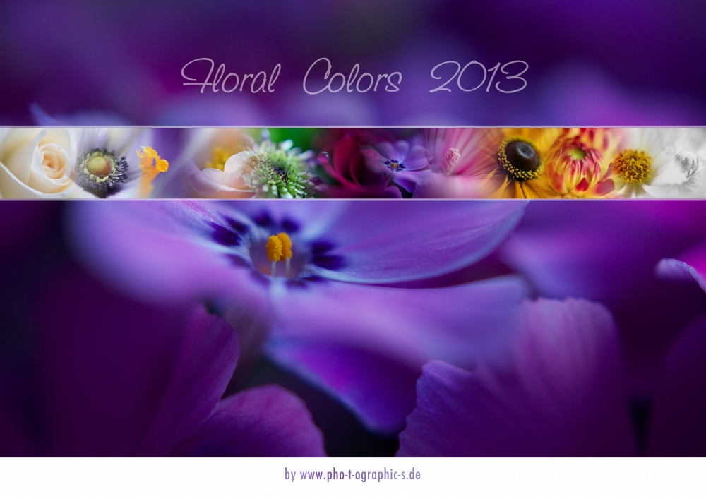 floral colors 2013