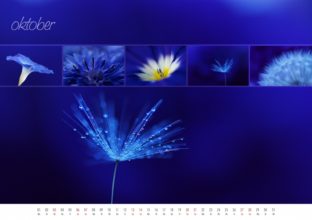 floral colours 2012 - 10
