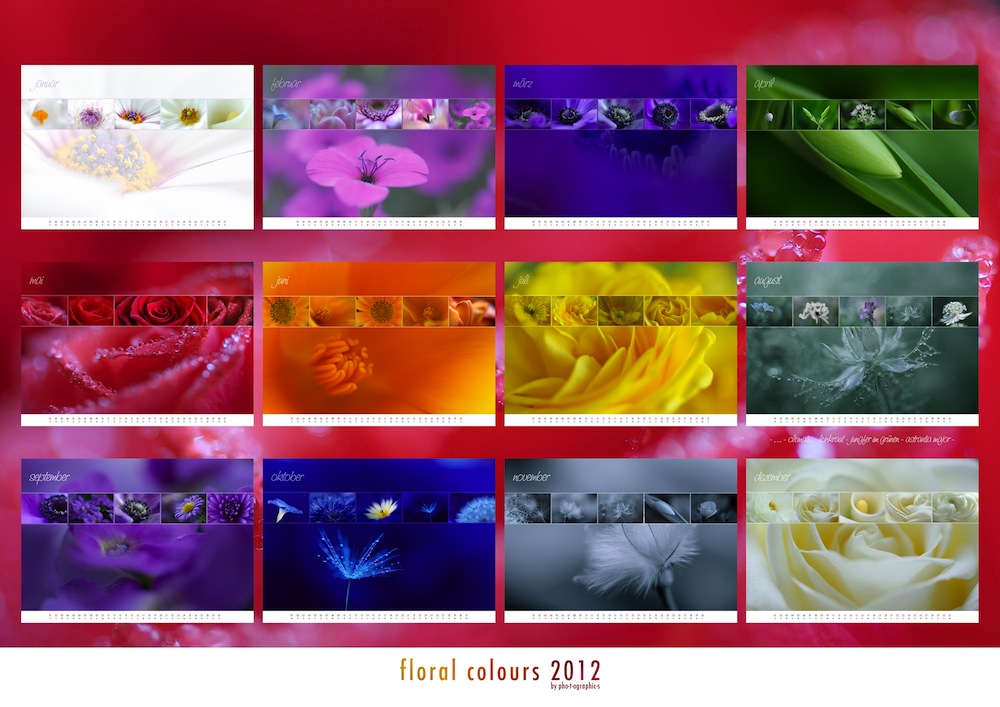 floral colours 2012