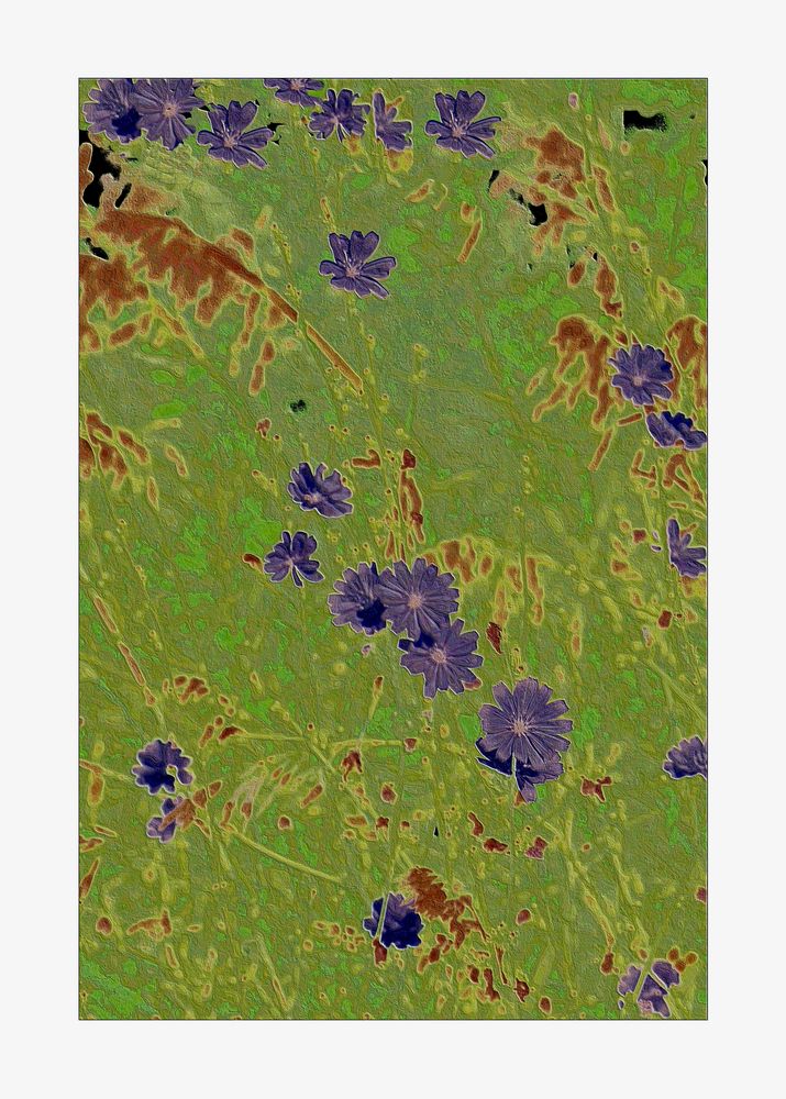 floral pattern