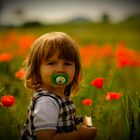 Floral Portrait  