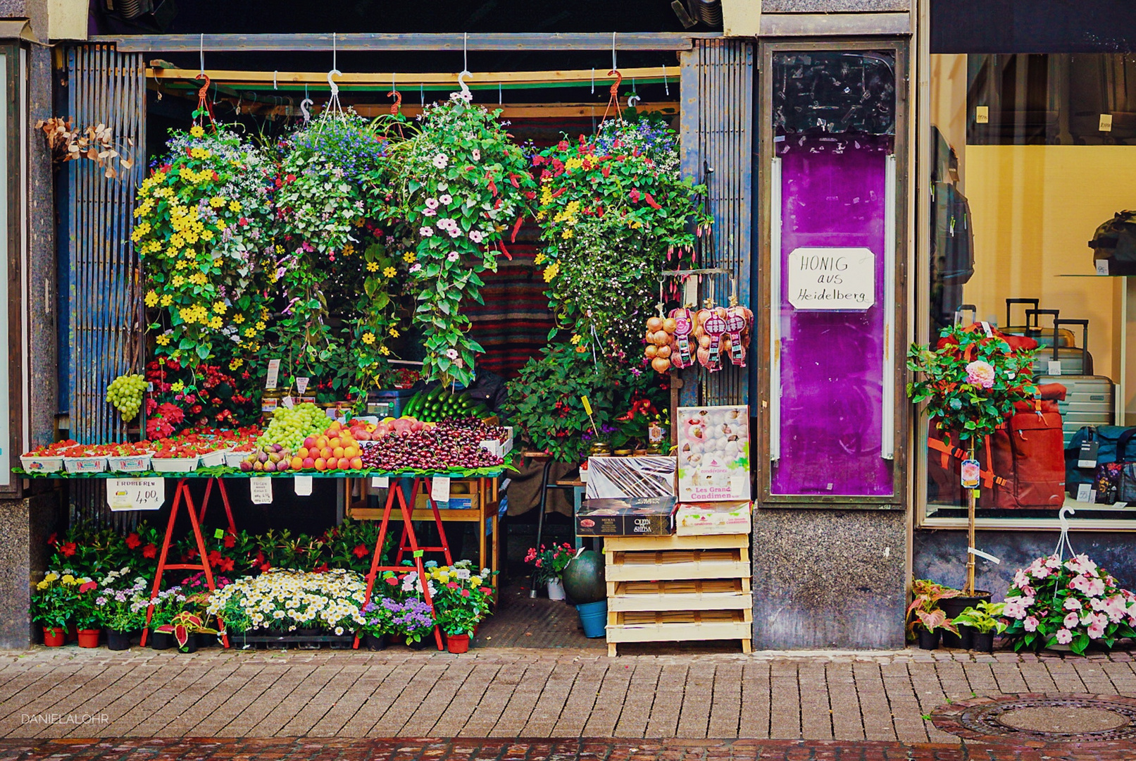 Florales Ambiente