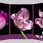 Florales Triptychon