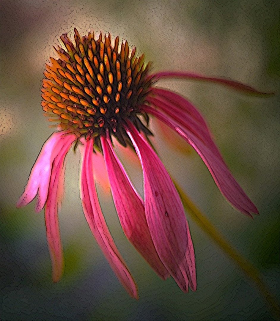 FLORALIES JE T'AIME, UN PEU,..............