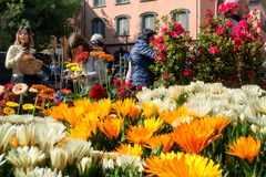 "Floraria" in piazza San Marco